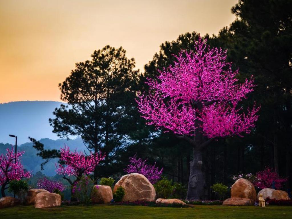 테라코타 호텔 앤 리조트 달랏 4