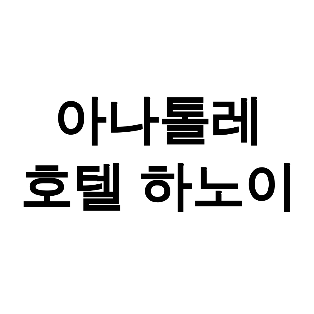 아나톨레 호텔 하노이