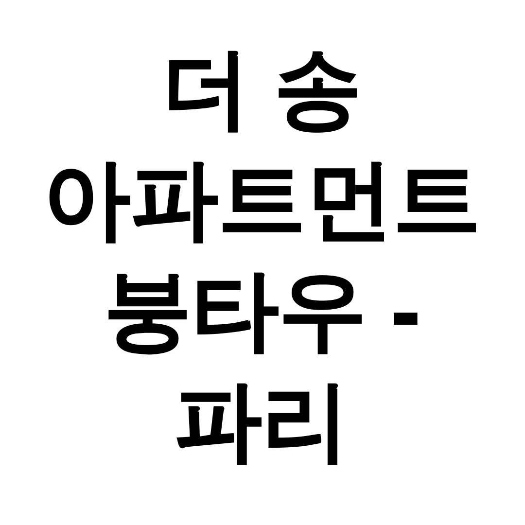더 송 아파트먼트 붕타우 - 파리 홈스테이